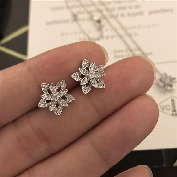 20242614582152 605555